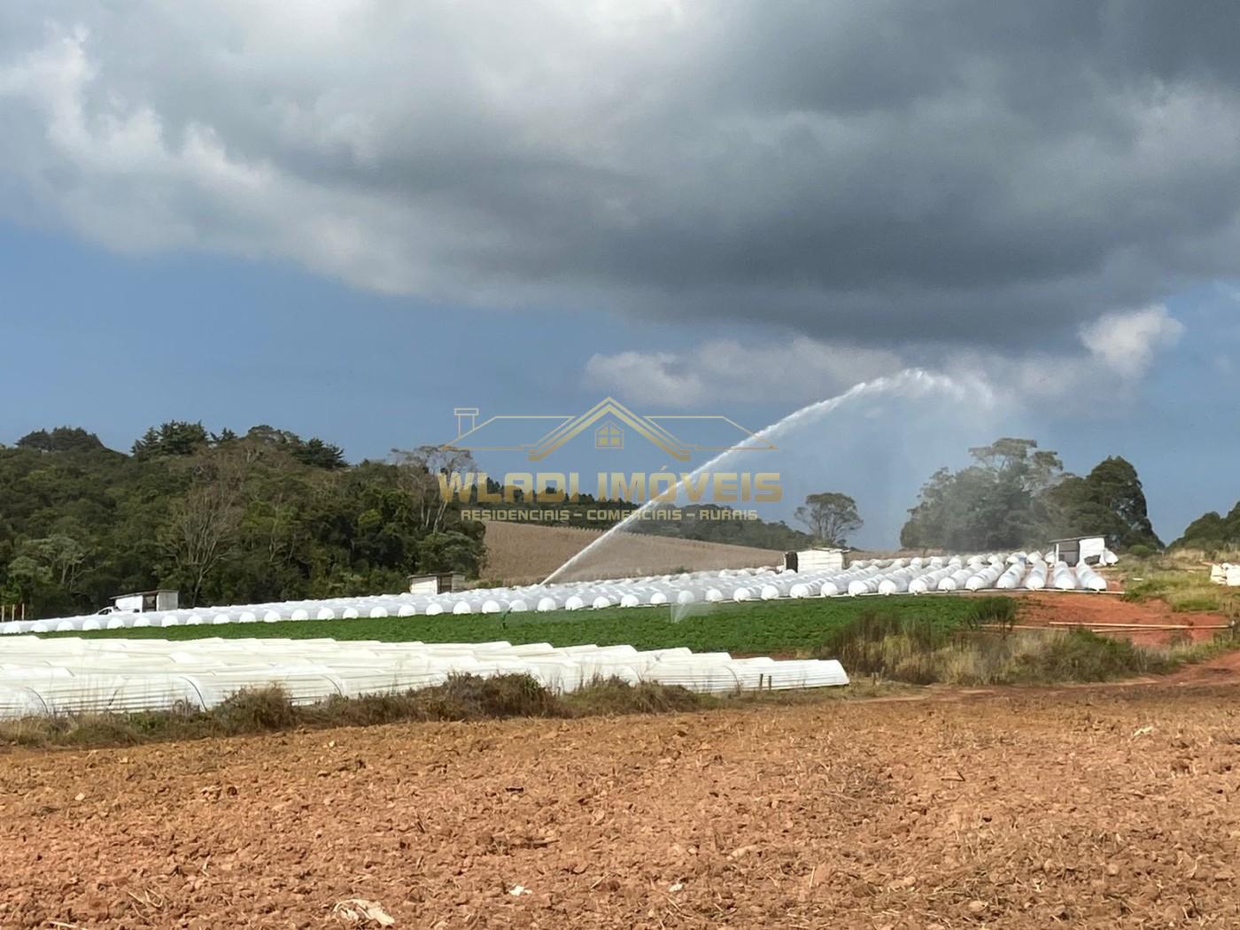 Fazenda-Sítio-Chácara, 70 m² - Foto 1