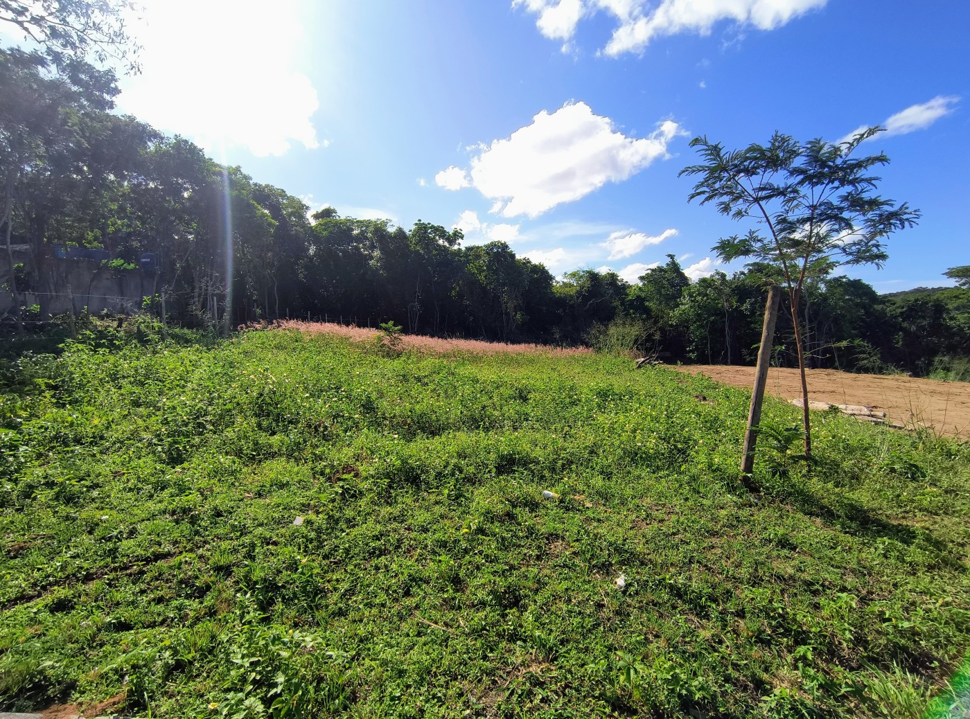 Terreno à venda, 450m² - Foto 6