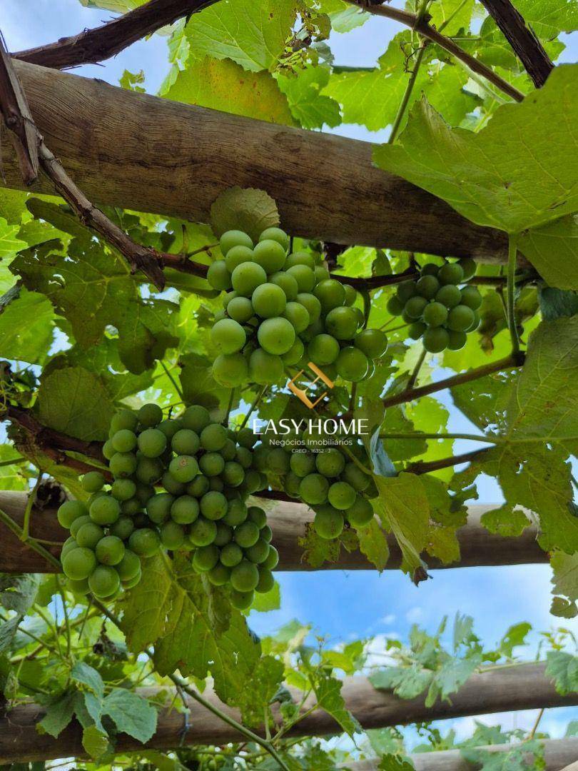 Chácara, 2 quartos, 6 hectares - Foto 2