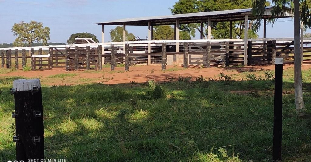 Fazenda à venda, 5566000M2 - Foto 9