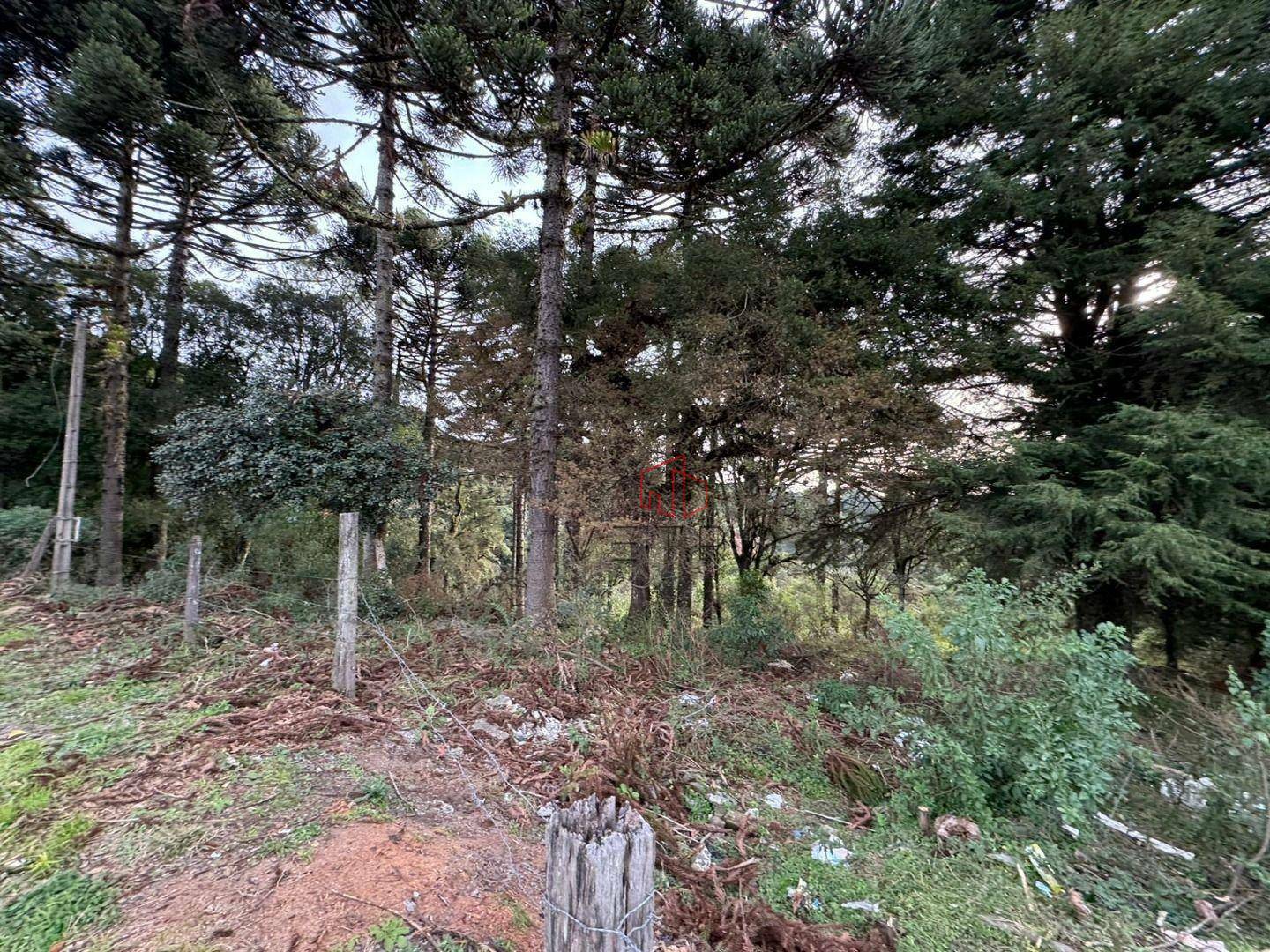 Terreno à venda, 4825M2 - Foto 10