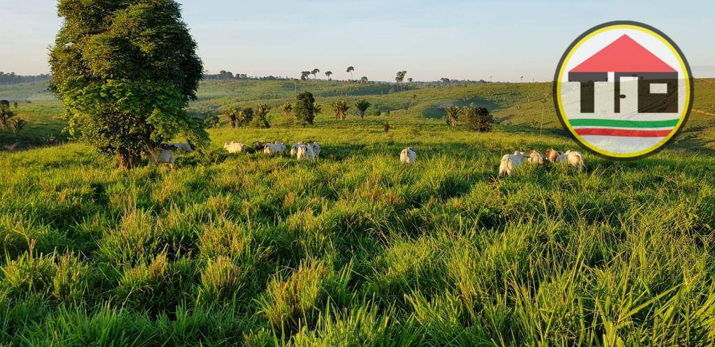 Fazenda à venda, 17085200M2 - Foto 3