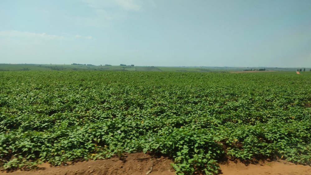 Fazenda à venda, 190m² - Foto 1