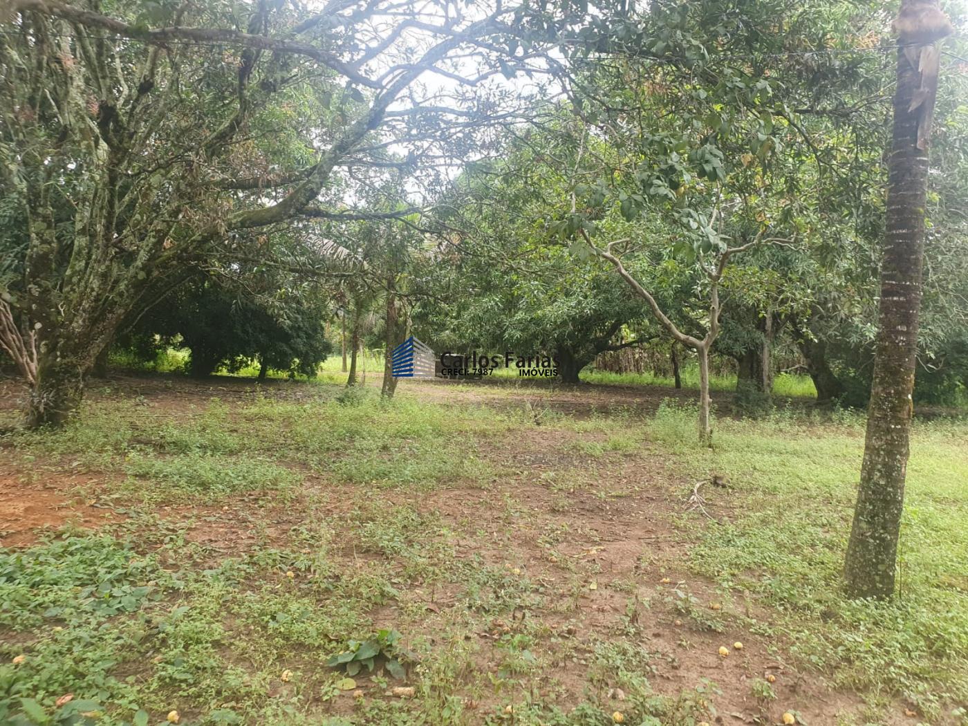 Fazenda à venda com 4 quartos, 300m² - Foto 29