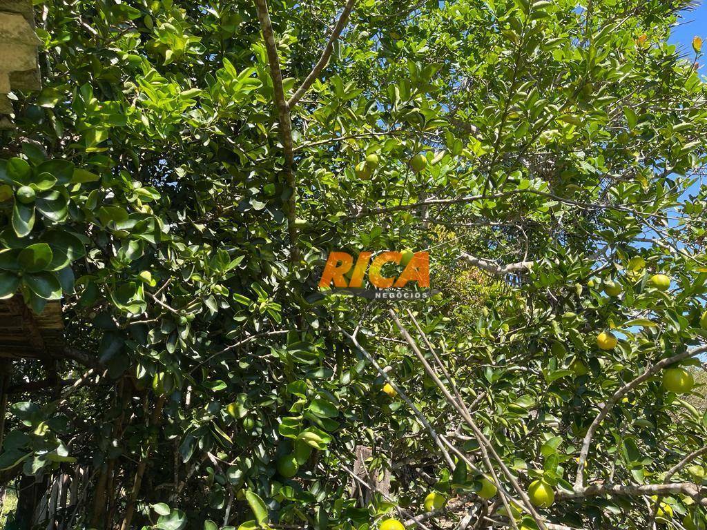 Chácara, 3 quartos, 2 hectares - Foto 10