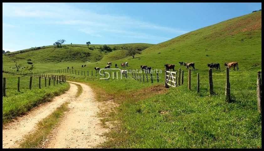 Fazenda à venda com 3 quartos, 300m² - Foto 18