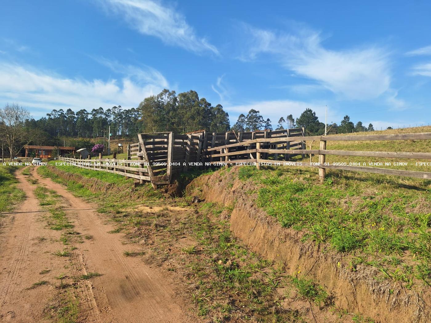 Fazenda à venda com 4 quartos, 80000m² - Foto 32