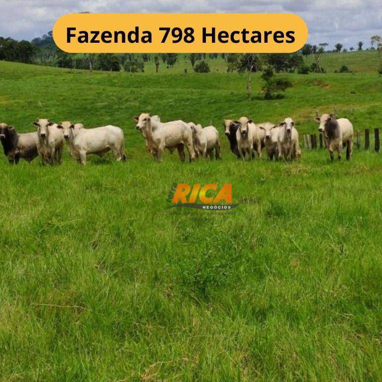 Fazenda-Sítio-Chácara, 798 hectares - Foto 1