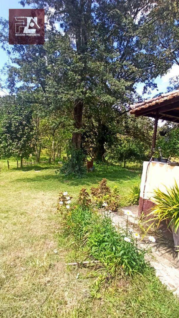 Fazenda à venda com 4 quartos, 1452000M2 - Foto 6