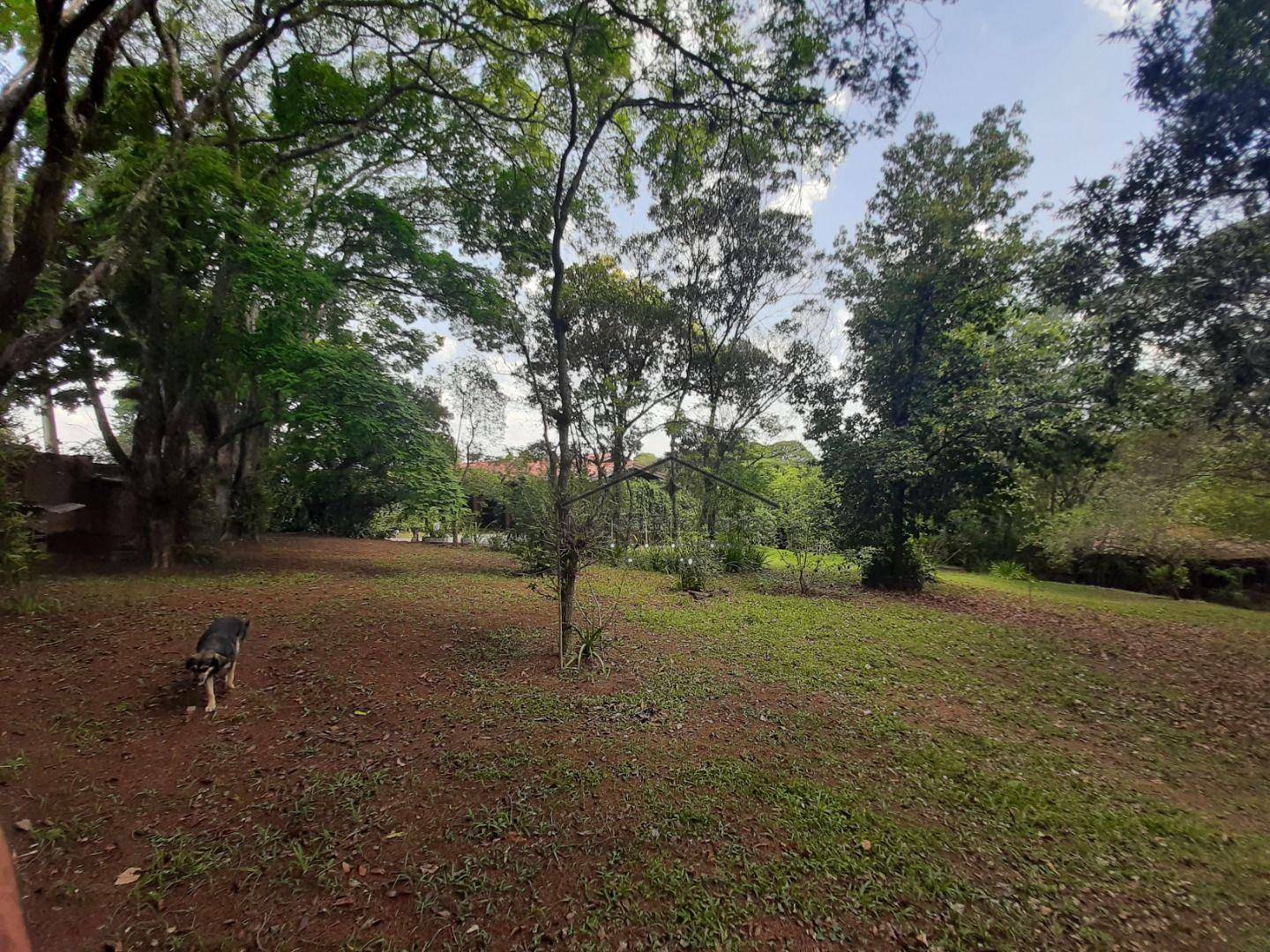 Terreno à venda, 12430M2 - Foto 9