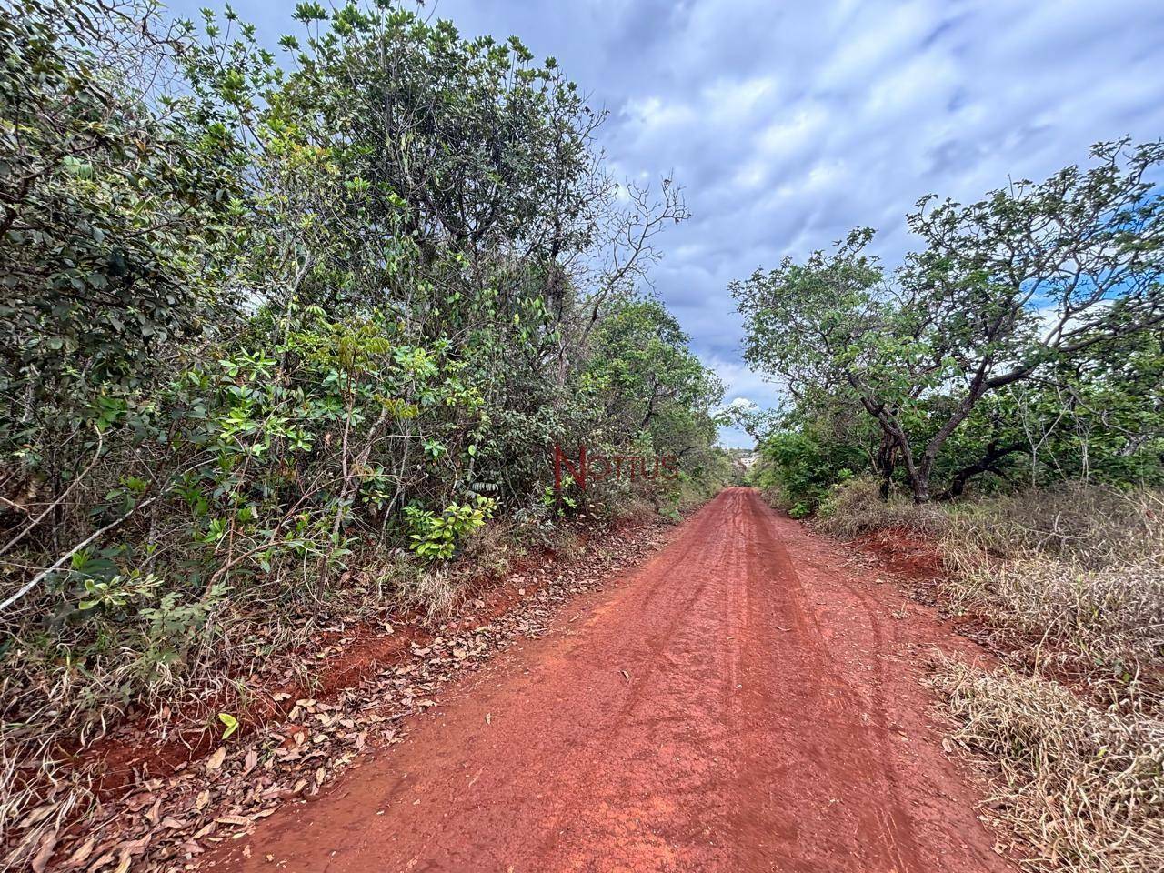 Terreno à venda, 1000M2 - Foto 2