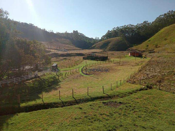 Fazenda à venda com 3 quartos, 1080000M2 - Foto 8