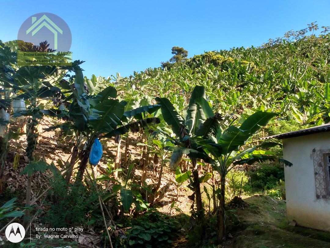 Sítio à venda com 2 quartos, 8m² - Foto 4