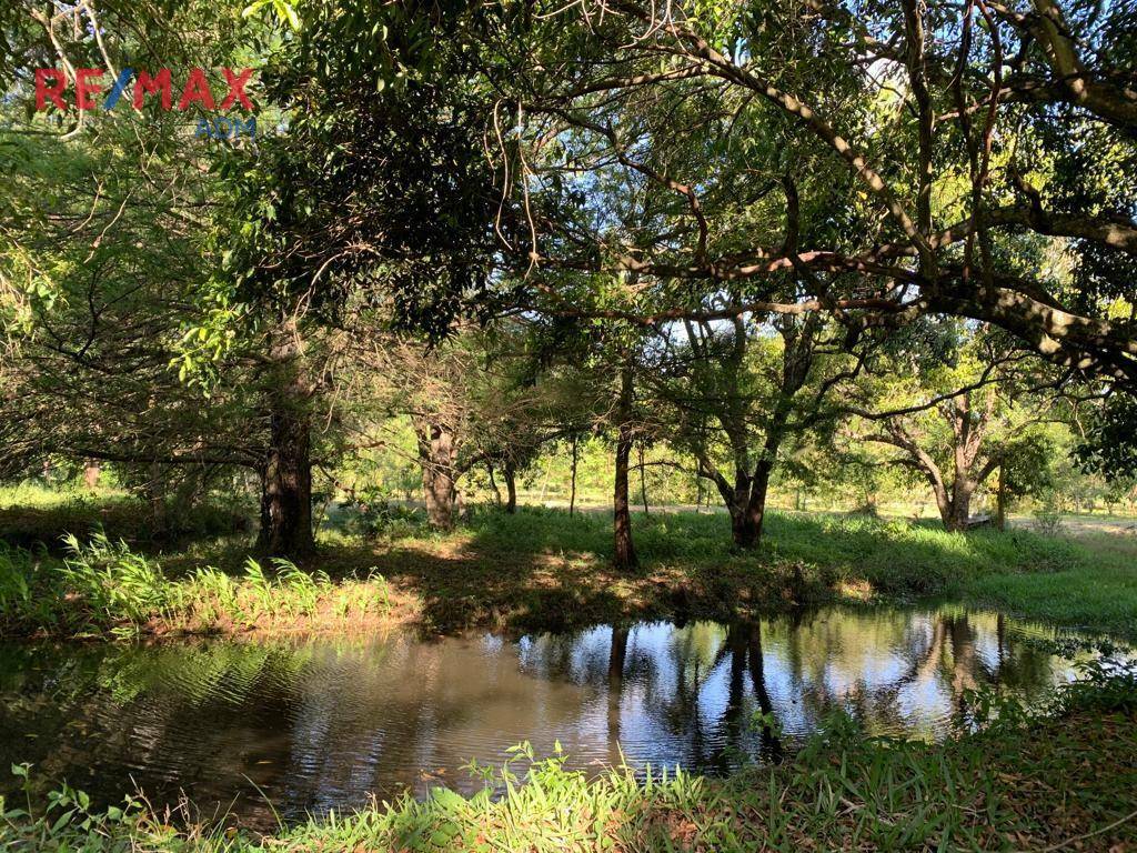 Terreno à venda, 72000M2 - Foto 24