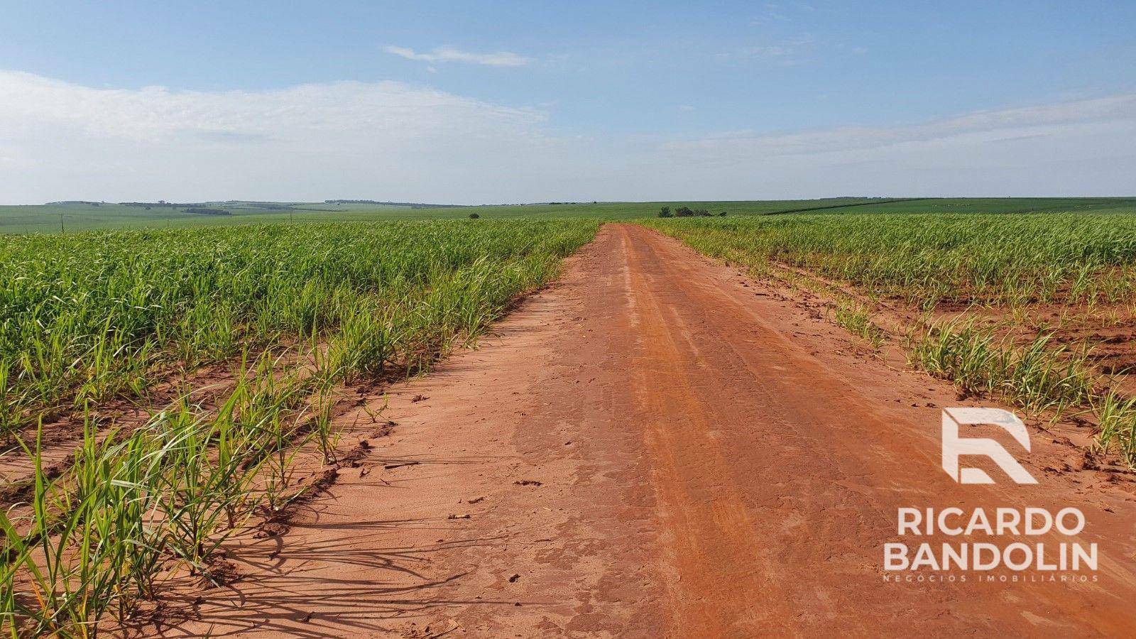 Fazenda à venda, 1m² - Foto 4