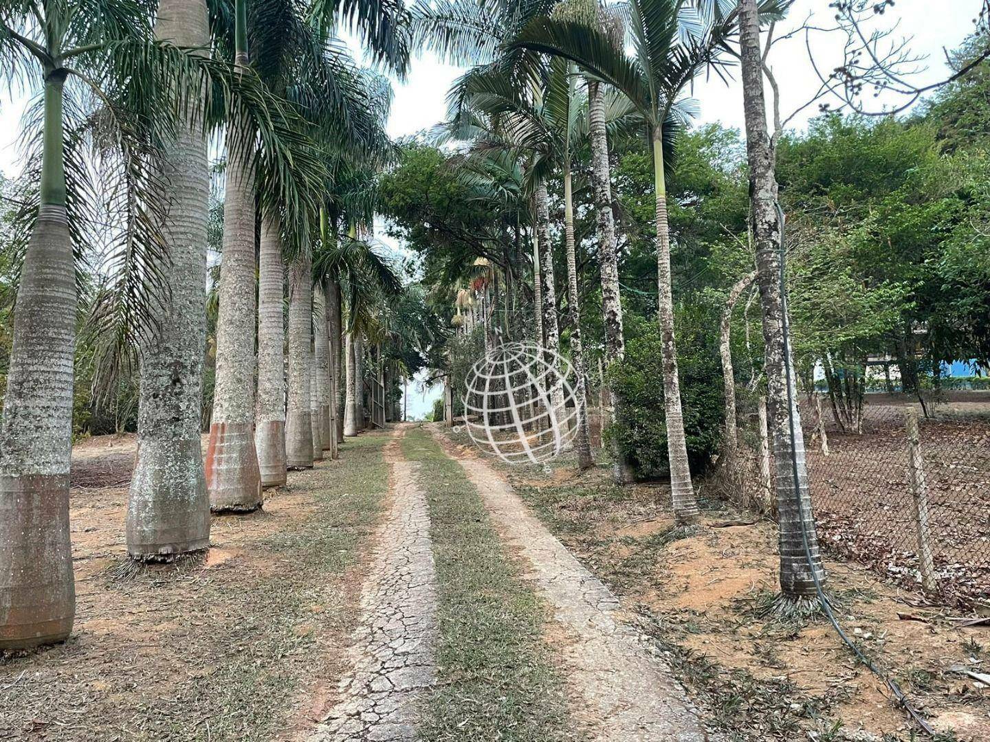 Chácara à venda com 4 quartos, 400m² - Foto 34