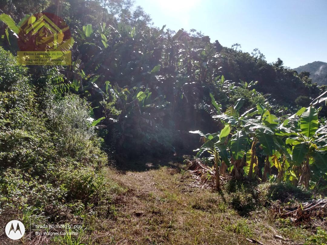 Fazenda à venda com 2 quartos, 8m² - Foto 12