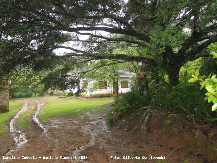 Fazenda à venda com 3 quartos, 5m² - Foto 1