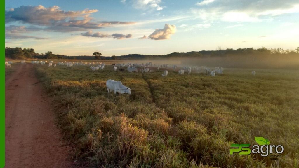 Fazenda à venda, 190000000M2 - Foto 7