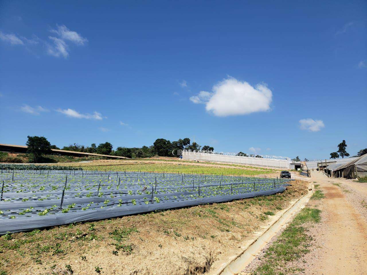 Terreno à venda, 84000M2 - Foto 20