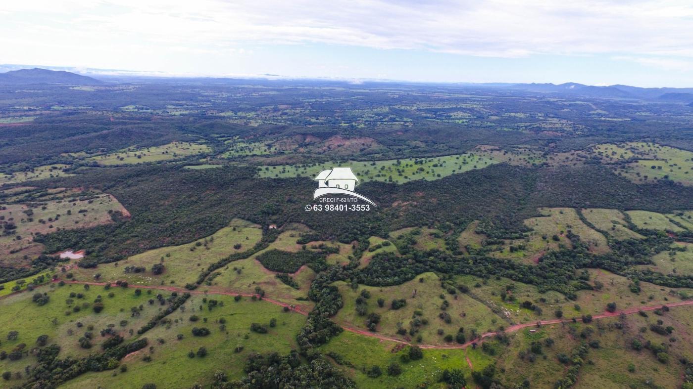 Fazenda à venda, 1m² - Foto 10