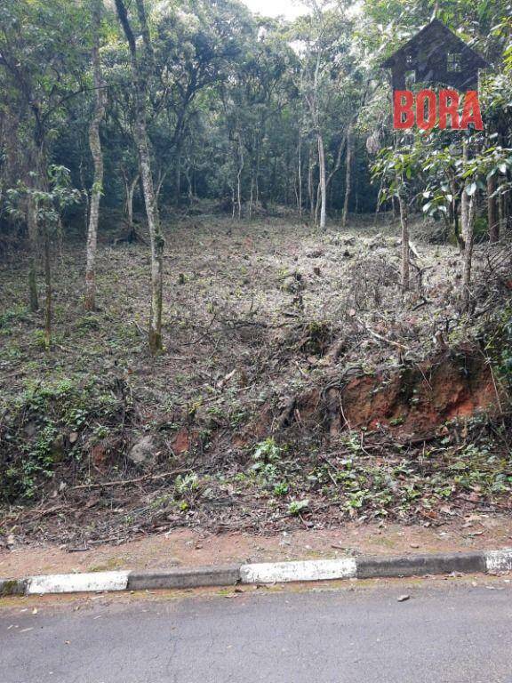 Loteamento e Condomínio à venda, 1250M2 - Foto 4