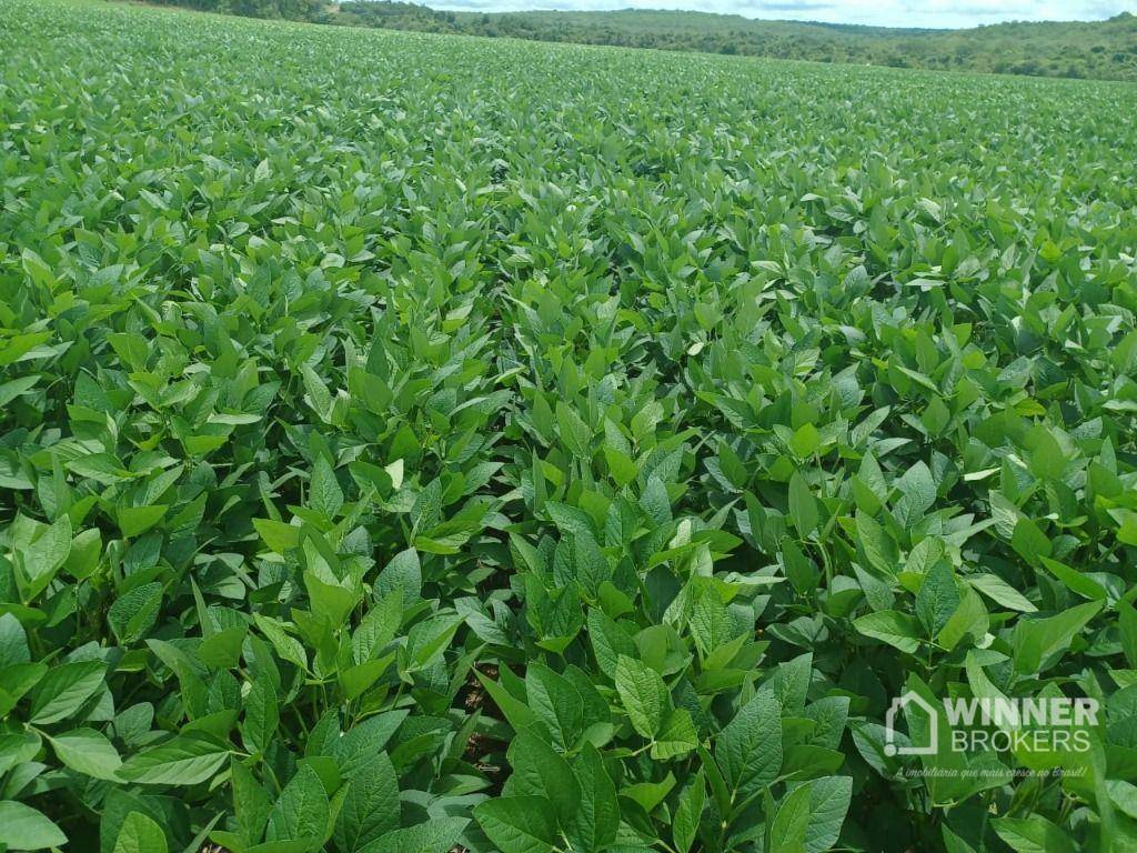 Fazenda à venda, 31060000M2 - Foto 8