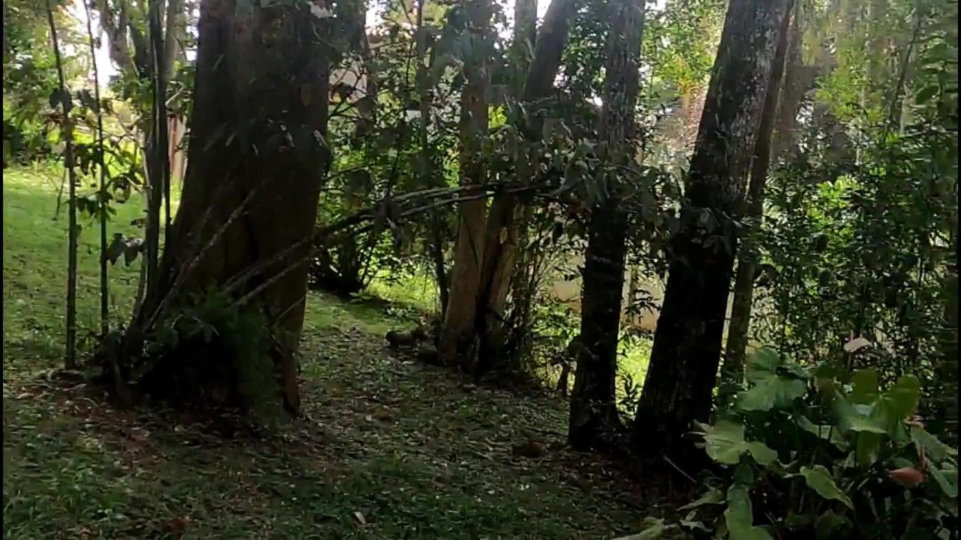 Casa de Condomínio à venda com 3 quartos, 1540m² - Foto 35