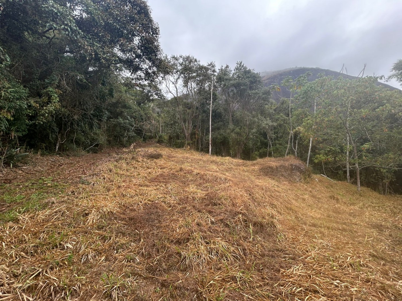Terreno à venda, 178000m² - Foto 31
