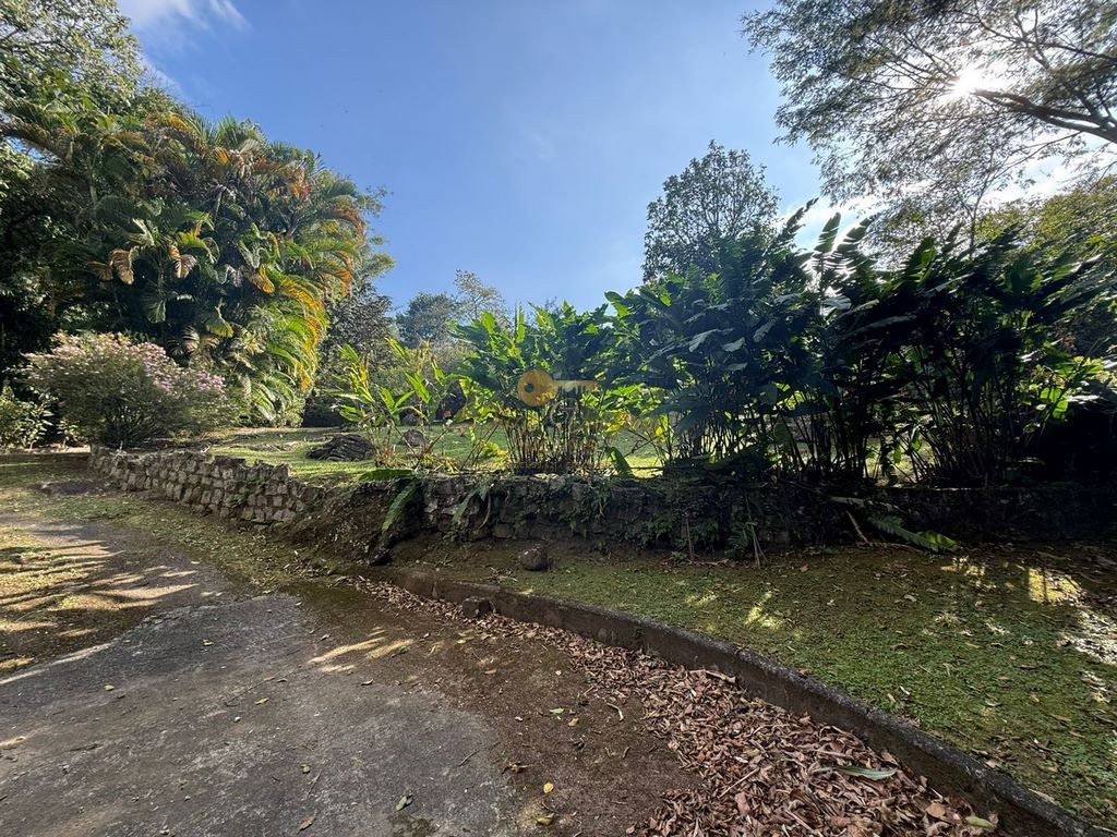Casa à venda com 4 quartos, 3597m² - Foto 30