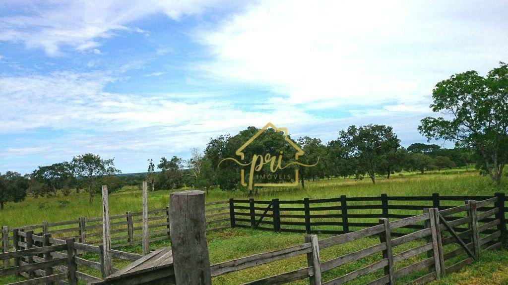 Fazenda à venda com 3 quartos, 250m² - Foto 14