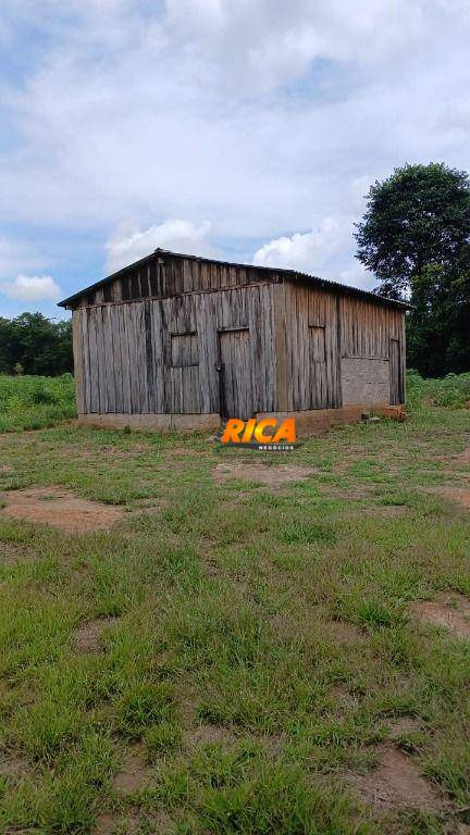 Fazenda, 200 hectares - Foto 3