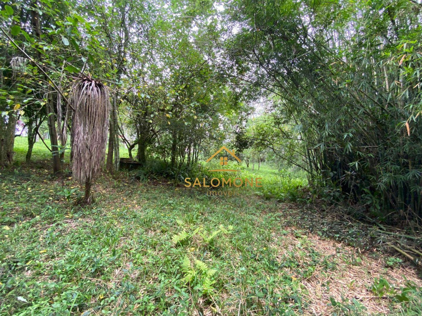 Sítio, 2 quartos, 7473 m² - Foto 10