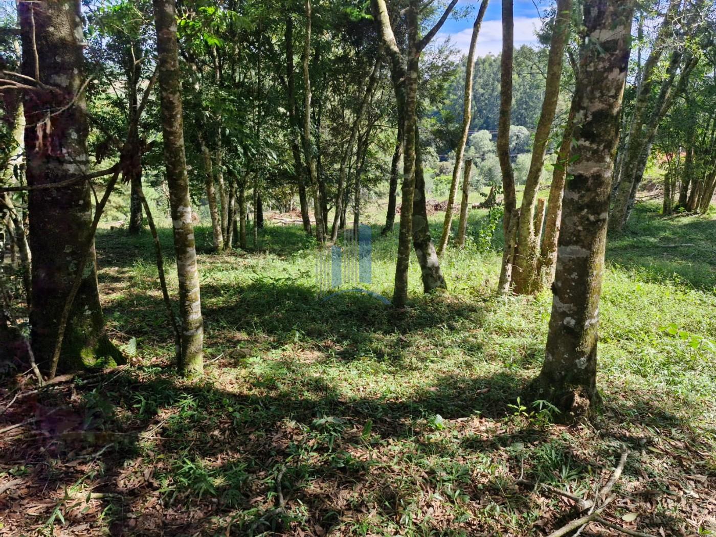Terreno à venda, 1000m² - Foto 12