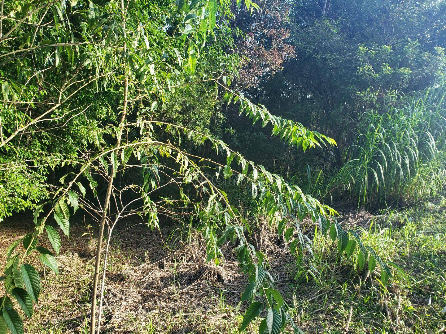 Loteamento e Condomínio à venda, 2530M2 - Foto 10