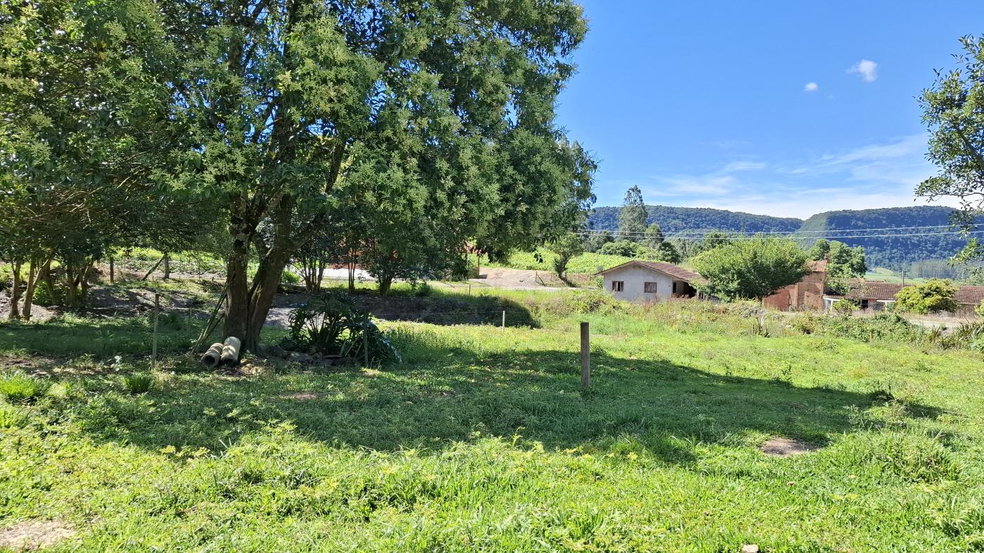 Fazenda à venda com 3 quartos, 20000m² - Foto 37