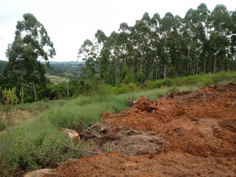 Fazenda à venda, 5000m² - Foto 5