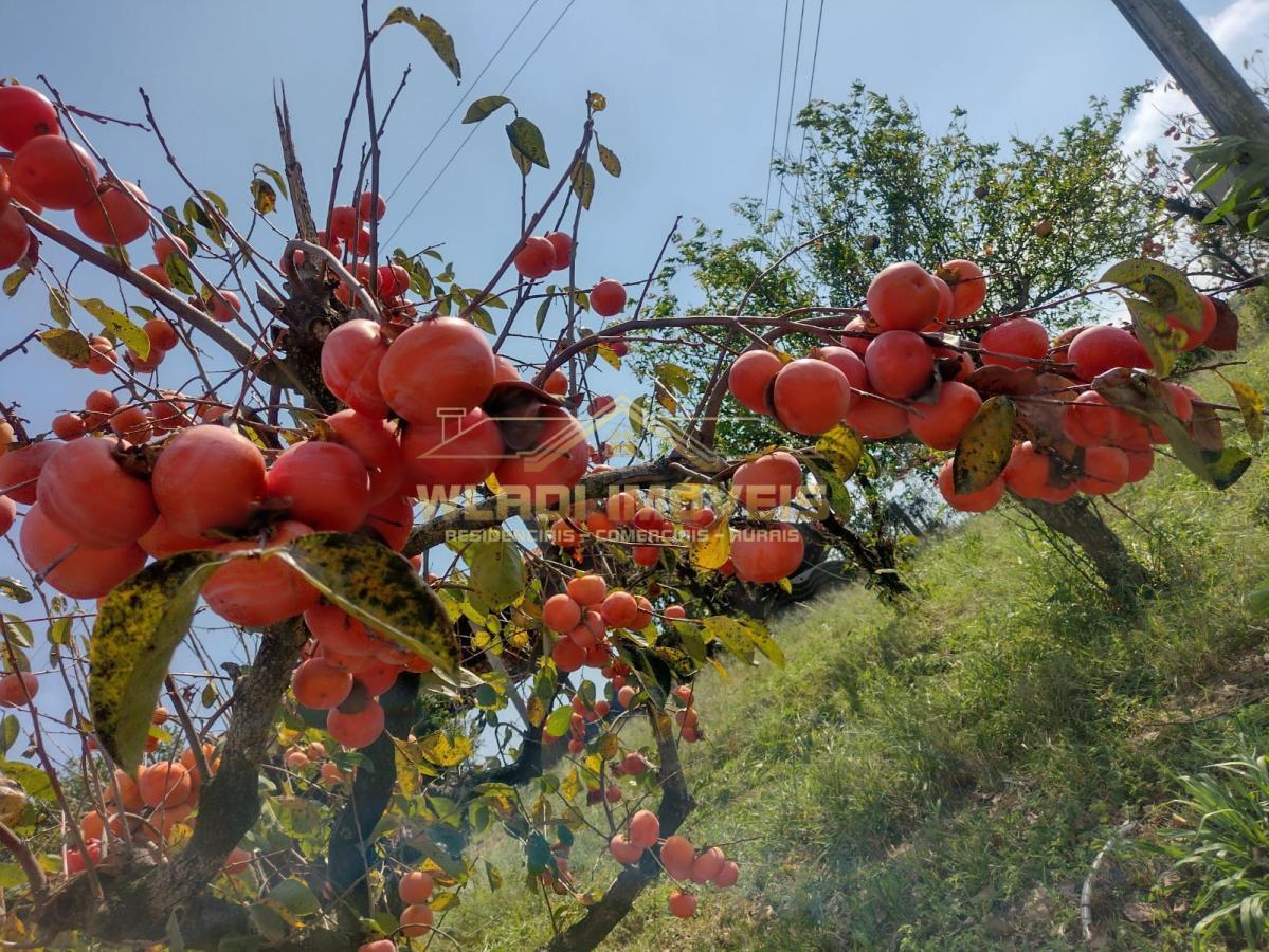 Fazenda à venda, 5m² - Foto 27