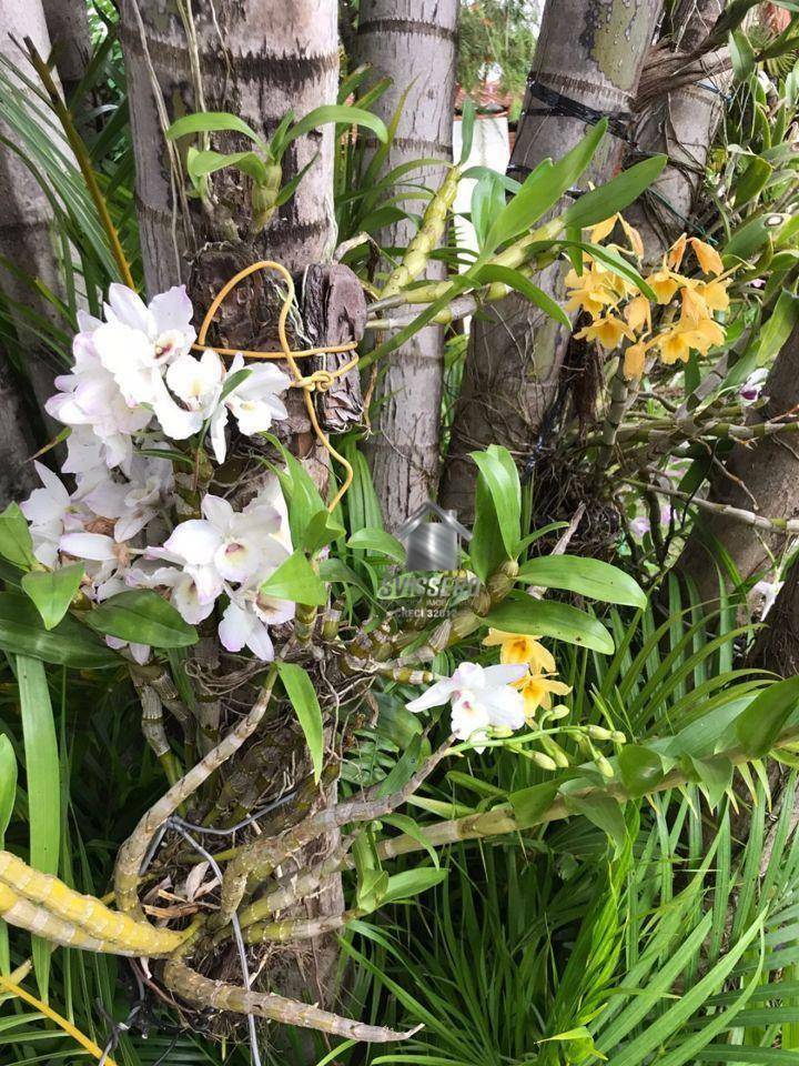 Chácara, 3 quartos, 1200 m² - Foto 12