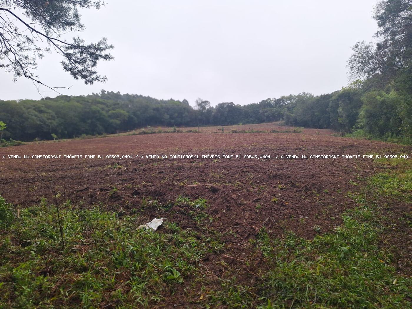Sítio à venda com 2 quartos, 141000m² - Foto 12