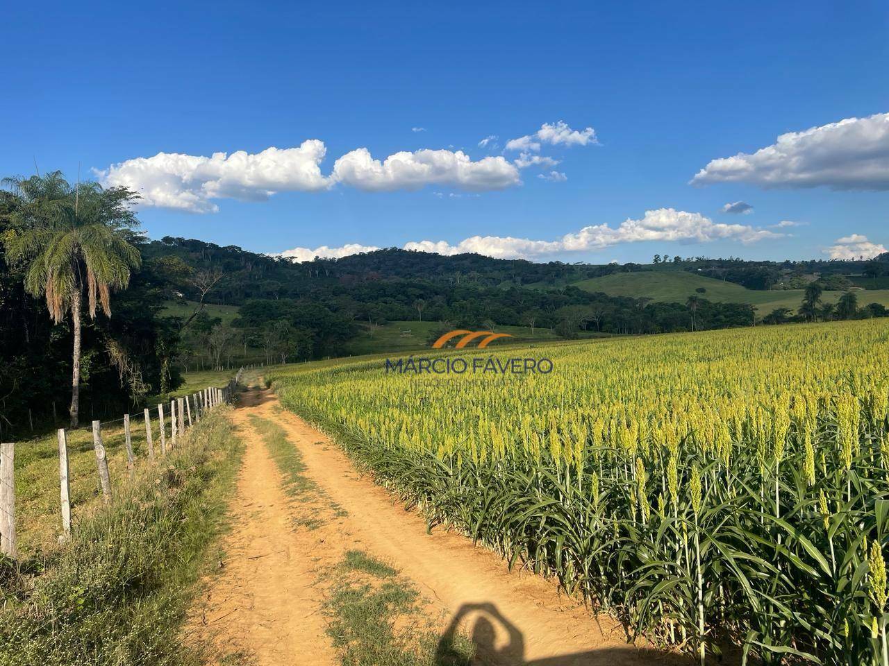 Fazenda à venda, 2274800M2 - Foto 2