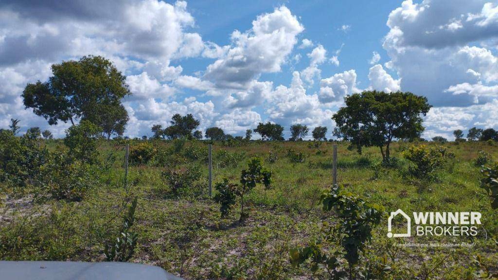 Fazenda, 930 hectares - Foto 7