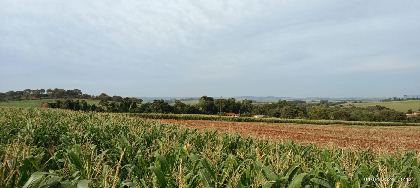 Fazenda à venda, 10000m² - Foto 4