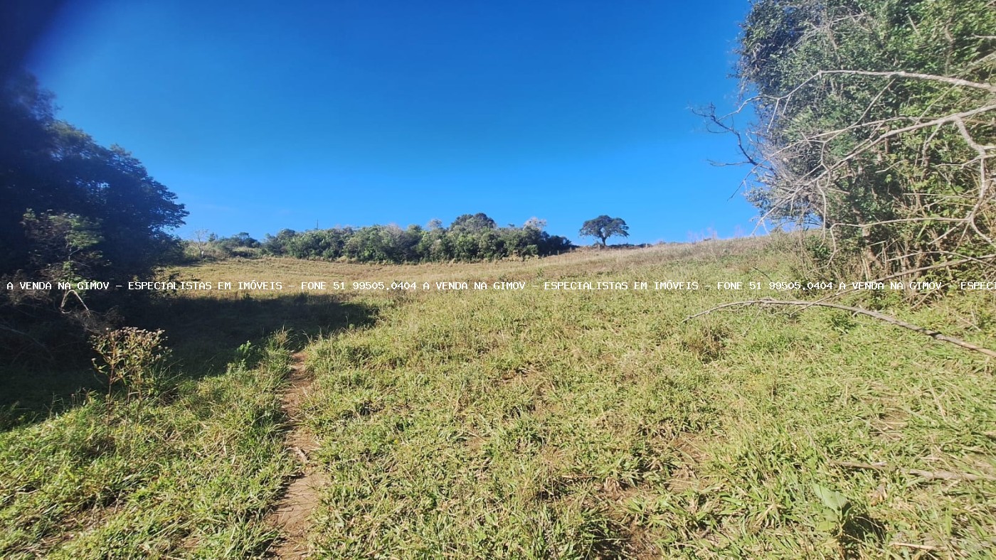Sítio à venda com 4 quartos, 46500m² - Foto 27