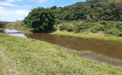 Fazenda à venda com 2 quartos, 145000m² - Foto 11