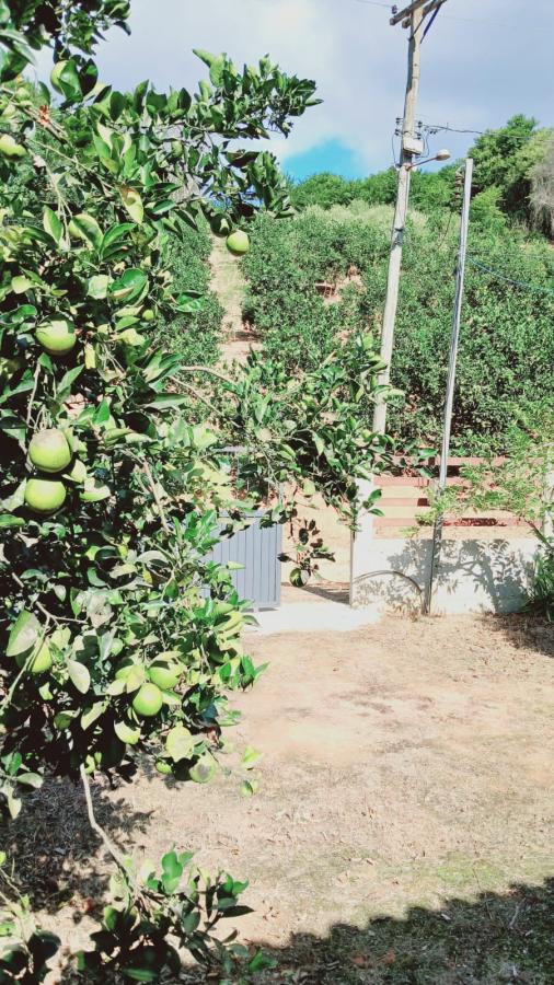 Chácara à venda com 3 quartos, 1000m² - Foto 18