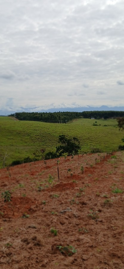 Sítio à venda com 3 quartos, 67000m² - Foto 18