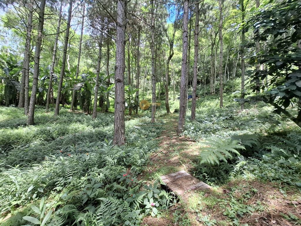 Fazenda à venda com 8 quartos, 52000m² - Foto 63