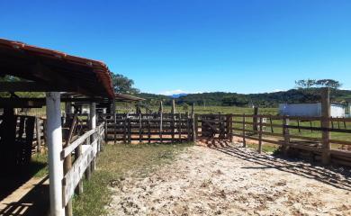 Fazenda à venda com 2 quartos, 210000m² - Foto 7