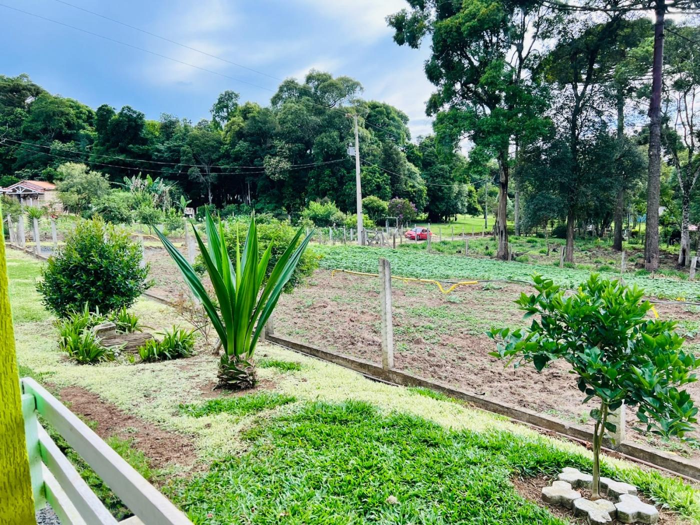 Chácara à venda, 28000m² - Foto 34